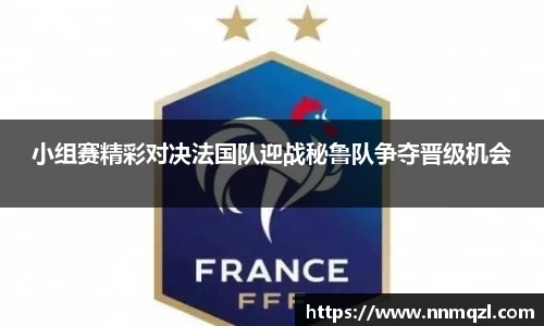 小组赛精彩对决法国队迎战秘鲁队争夺晋级机会